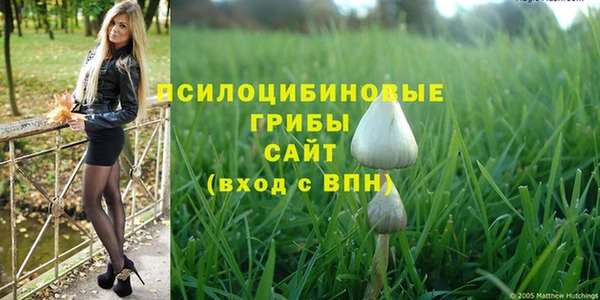 кокаин Алексеевка