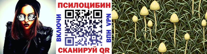 Галлюциногенные грибы Psilocybine cubensis omg как войти Боровичи